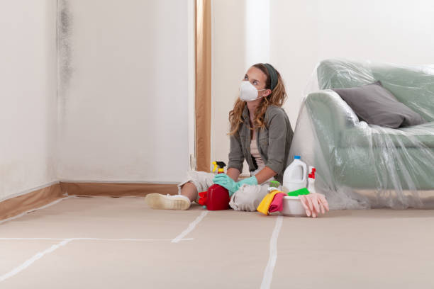 Reliable Hvac And Air Duct Mold Remediation contractor in Deerfield, MI by 24 Hour Mold Removal