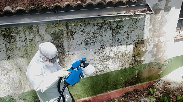 Top rated local Hvac And Air Duct Mold Remediation specialists in Deerfield, MI
